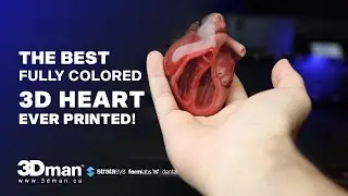 The best fully colored 3D heart ever printed