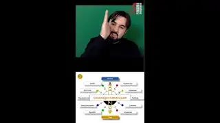 Что создаёт стержень личности? 