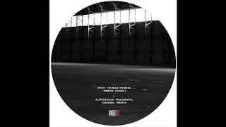 Parasonic - Wakker