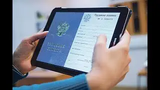 Электронная трудовая книжка  - пора сделать выбор