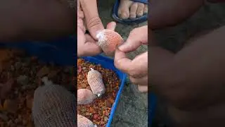 рыбалка на стик 