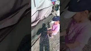 15 июля 2024 г.
