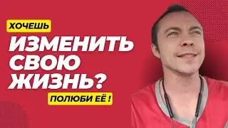 Хочешь изменить свою жизнь? ПОЛЮБИ её! - Инсайты из книги 