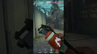 ratty but satisfying ace 