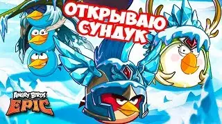 Angry Birds Epic ОТКРЫВАЮ СУНДУК ВСАДНИКИ ХРЯКОКАЛИПСИСА Геймплей Walkthrough