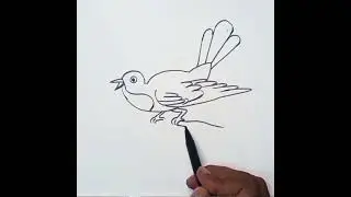easy bird 🐦 drawing #drawing #art #souravarts