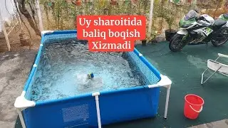 Intensiv usulida baliq boqish xizmadi +9Ikromjon
