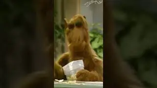 Member of the family. Член семьи. #alf  #shorts