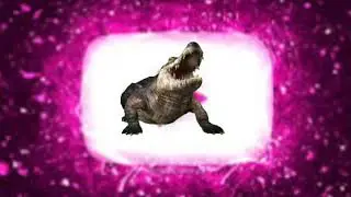 Youtube Animals New Style