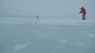 Ловля корюшки на Финском заливе Южная дамба 23 02 19