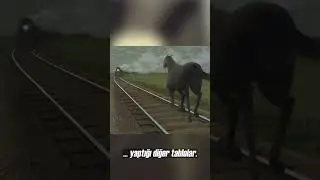 Bu Görüntü, Hangi Oyuna Ait?