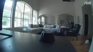 Father Sets Up Camera to Stop Son From Watching TV: This Is What He Captured