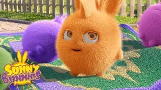 SUNNY BUNNIES - The Mysterious Carpet | Season 2 | Cartoons for Children