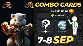 How to Find Combo Cards in Hamster Kombat | September 7-8 Guide