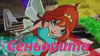 Клип винкс//блум и валтор//сеньорита.