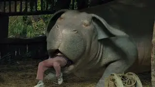 [4K] Inside a hippo-pig's mouth (O)