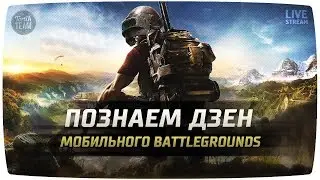 PUBG Mobile познаём дзен мобильного Battlegrounds