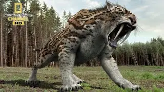 Wild Animal life 2021