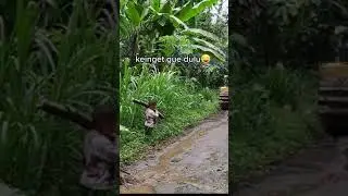 Moment Ketika Main Tanpa Lato Lato