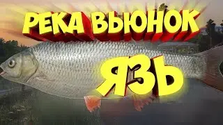 русская рыбалка 4 ЯЗЬ река ВЬЮНОК Алексей Майоров russian fishing 4 рр4
