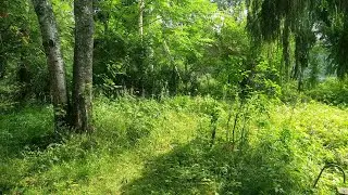 Белочка | 