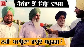 ਜਾਣੋ ਕਿਉਂ ਪੰਜਾਬ ਛੱਡ Canada ਜਾ ਬੈਠੇ ਬਜ਼ੁਰਗ ?