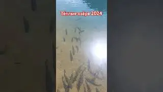 Тёплые озёра 2024