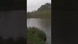 Погодка Аггонь. 