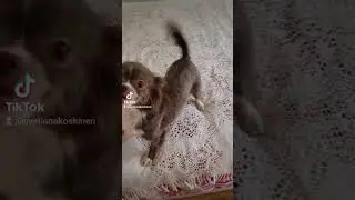 Очень талантливая танцовщица нам досталась! 💃❤️