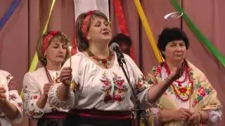 Святкування Дня села Тетерівка