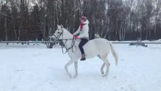 Верховая езда без седла Таня на Букве