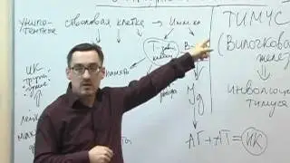 Ребенок и иммунитет! Защита от вирусных заболеваний.