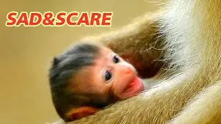 NEWBORN BABY RAINBOW MUCH SCARE......4DAYS