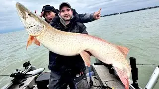 Big Musky Fishing | St Clair BIG TIMERS!