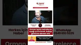 Orman işçisi, metrelerce aşağı yuvarlandı çalışmasına kaldığı yerden devam etti.