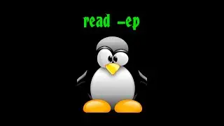 Arrow Keys and BASH Read Command - Short