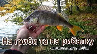 Саме час їхати в дощ на гриби і рибалку. Частина друга.