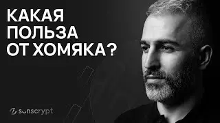 Hamster Combat и TON: руководство по входу в мир криптовалют