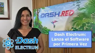 Dash Electrum: Lanza el Software por Primera Vez