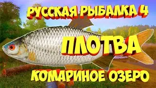 русская рыбалка 4 - Плотва Комариное озеро - рр4 Алексей Майоров