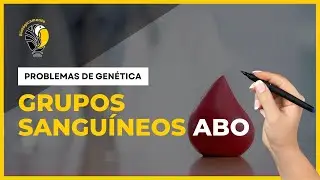 GRUPOS SANGUÍNEOS ABO 🩸 - Problemas de genética