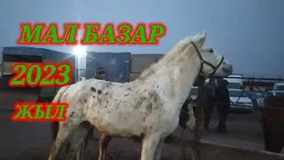МАЛ БАЗАР 2023 | КЕЛЕС АБАЙ МАЛ БАЗАРЫ | БҮГІНГІ МАЛ БАЗАР БАҒАЛАРЫ
