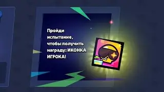 открыл 12 призов старр прошёл испытание