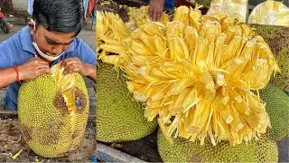 HUGE 40Kg Jackfruit/Kathal😱😱 क्या आपने कभी  पका हुआ कटहल खाया है??😳😳 Indian Street Food | Surat