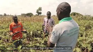 How home gardens help generate nutrition & income in Uganda’s refugee camps (NIGI project)