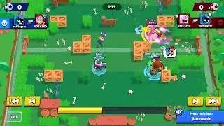 Bulll Clip