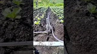 A Simple Practical Tool 