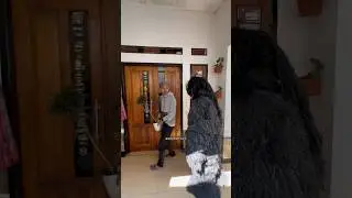 Kaget !!! Prank GRANDONG isengin cowok ganteng
