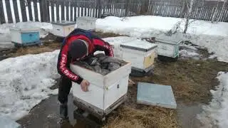 Апрельское утро. Днём ранее меняю донья на пасеке. 03.04.2022 г. Кыштовка