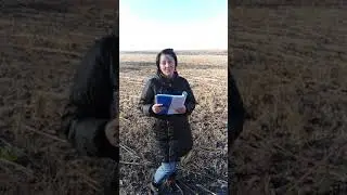 Красивый стих про осень /Осень на море / Авторские стихи Петровских поэтов